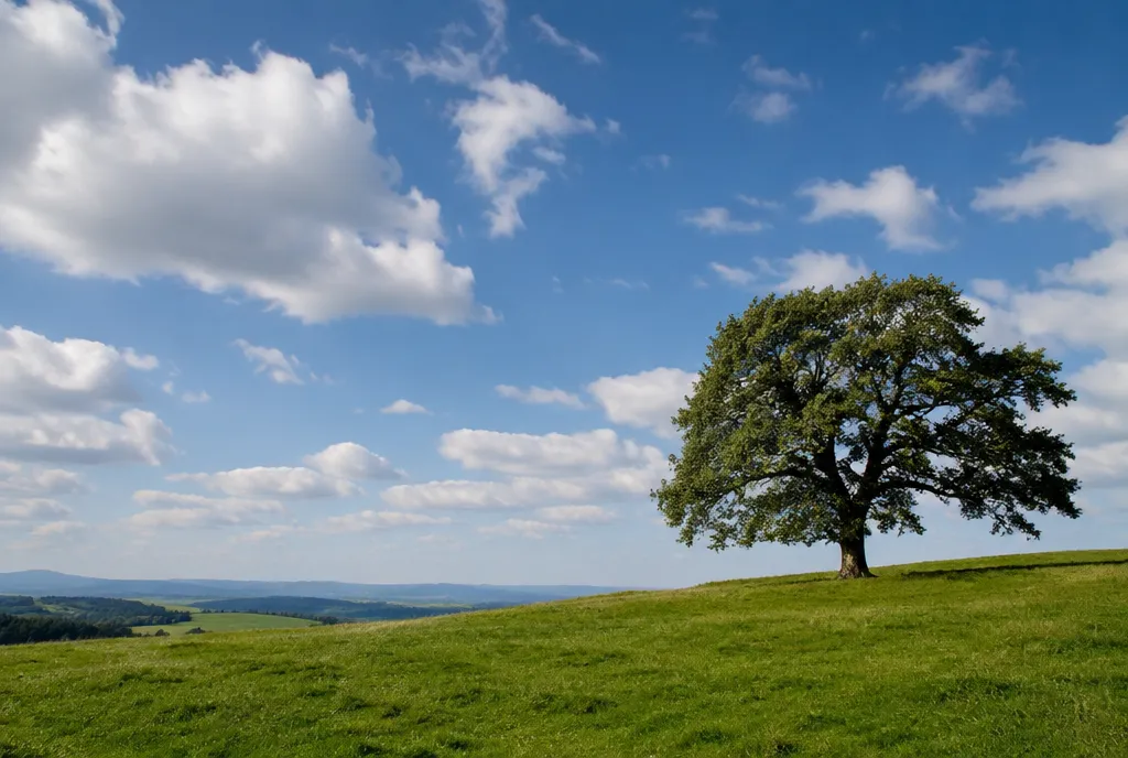 Rule of Thirds Photography: Grid, Examples and Tips